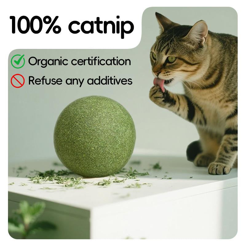 Extra-Large Size Natural Cat Mint Ball, 10 Cm in Diameter, Solid, Edible, Natural Cat Mint Toy, a Fun Toy for Cats