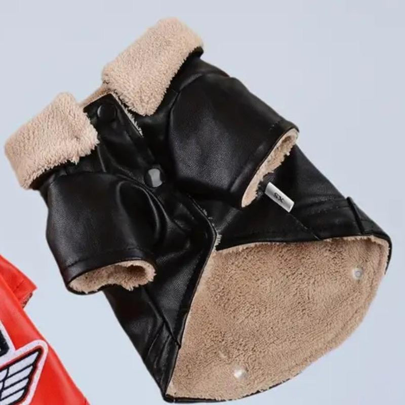 Oakland Dog Jacket, Pet Clothing for Dogs, Waterproof Bandanas