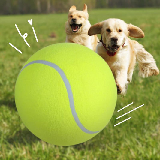 Tennis Ball Design Dog Toy, Pet Interactive Tennis Ball Toy, Pet Training Ball Toy, outside Pet Interactive Ball Toy for Dogs & Cats, Outdoor Toy