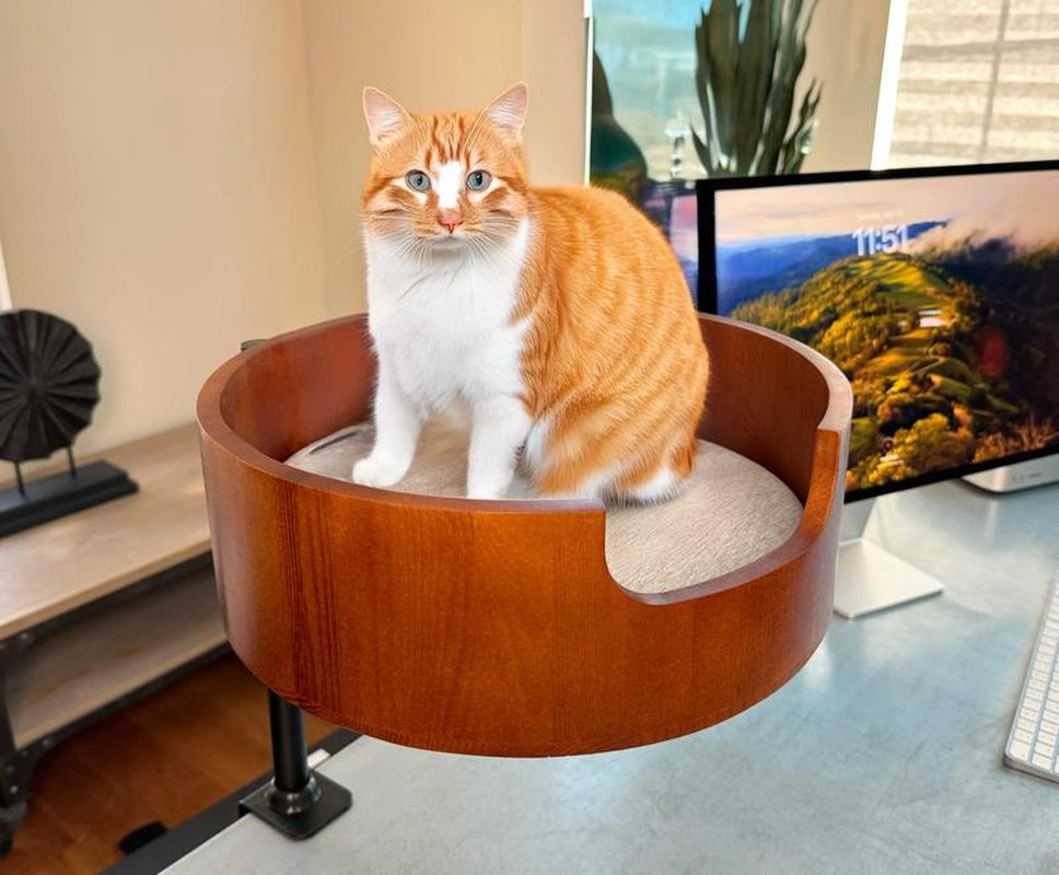 Desk Cat Nest Bed - Single Arm - Portable and Durable