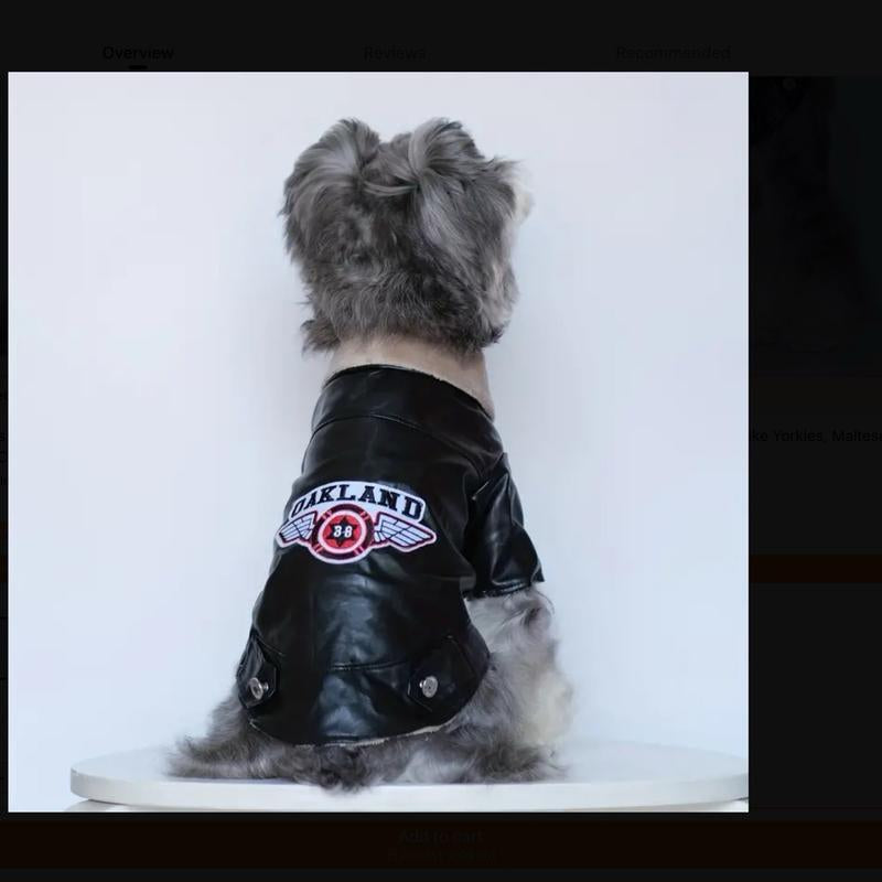 Oakland Dog Jacket, Pet Clothing for Dogs, Waterproof Bandanas
