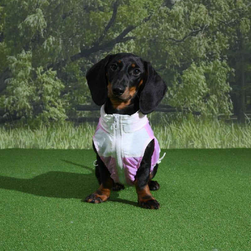 Lazyeazyplus Sun Protection Light Jacket for Dogs - Pet Clothing - Pet Jackets - Thanksgiving Pet Gift
