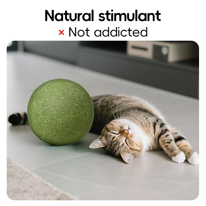 Extra-Large Size Natural Cat Mint Ball, 10 Cm in Diameter, Solid, Edible, Natural Cat Mint Toy, a Fun Toy for Cats
