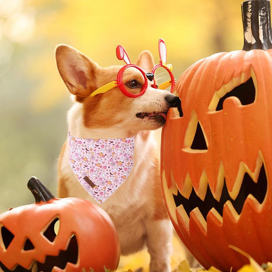 UP URARA PUP Soft Halloween Pumpkin Pet Bandana, Cute Ghost & Bat Design for Dogs & Cats