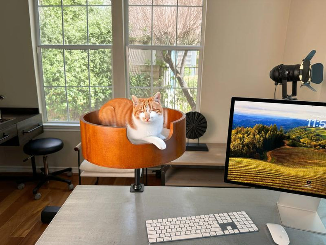 Desk Cat Nest Bed - Single Arm - Portable and Durable