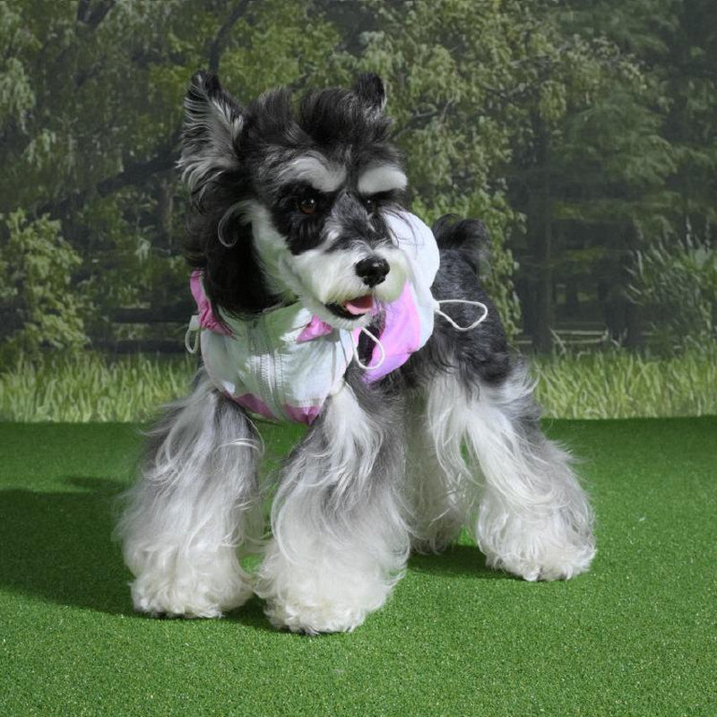 Lazyeazyplus Sun Protection Light Jacket for Dogs - Pet Clothing - Pet Jackets - Thanksgiving Pet Gift