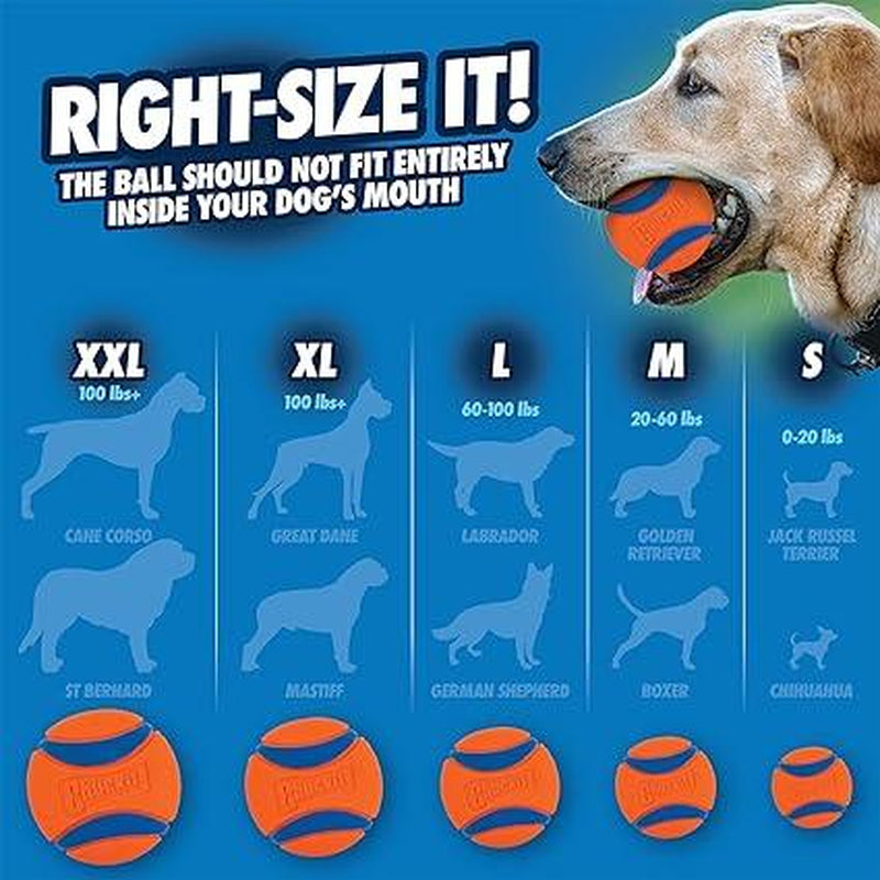 Super High Bounce Ultra Ball Dog Toy, Lightweight, Bouyant Medium (2.5 Inch Diameter) Pack of 2, for Breeds 20-60 Lbs Make Fetch Happen
