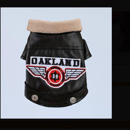 Oakland Dog Jacket, Pet Clothing for Dogs, Waterproof Bandanas