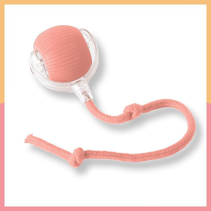 SPOVEN Cat&Dog Toy - Interactive USB Rechargeable Ball Toy on Rug , Anti-Depression Fun Gift for Cats & Dogs